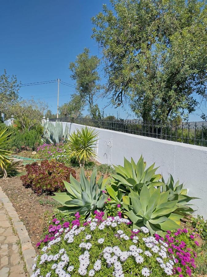 Вилла Casa Esperanca - Carefree Living With Big Private Pool And Great Views Ольян Экстерьер фото